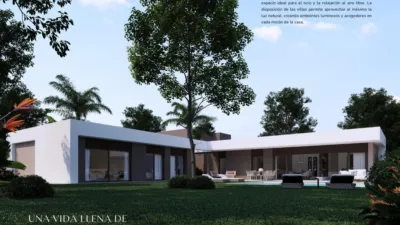 Casa – Elx - Elche - Más