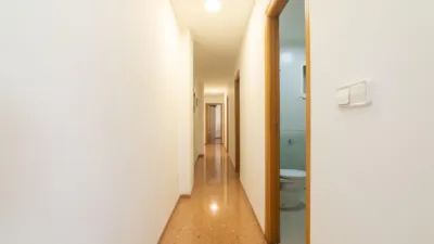 Apartment in Carrús Este photo 10