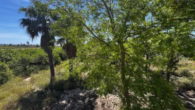 Chalet in Las Bayas-Asprillas photo 8