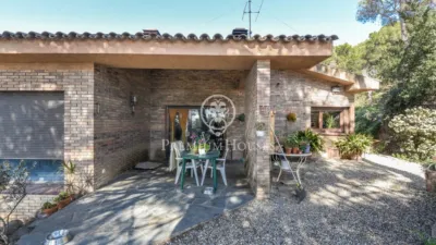 House in Zona Alta photo 10
