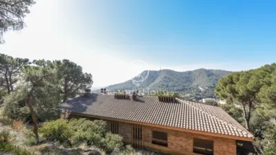 House in Zona Alta photo 11