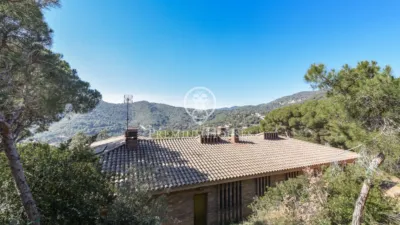 House in Zona Alta photo 12