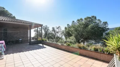 House in Zona Alta photo 18