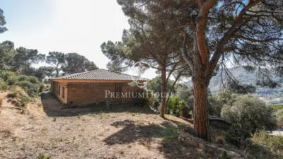 House in Zona Alta photo 20
