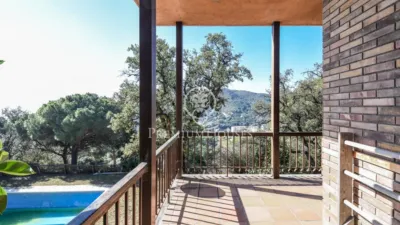 House in Zona Alta photo 22