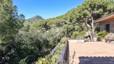 House in Zona Alta photo 27