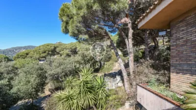 House in Zona Alta photo 28