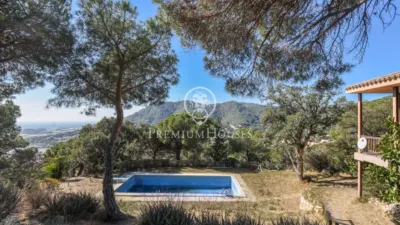 House in Zona Alta photo 29
