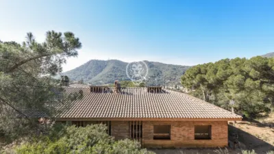 House in Zona Alta photo 2