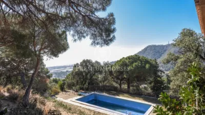 House in Zona Alta photo 31