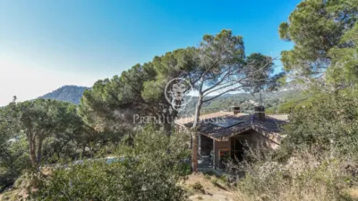 House in Zona Alta photo 33