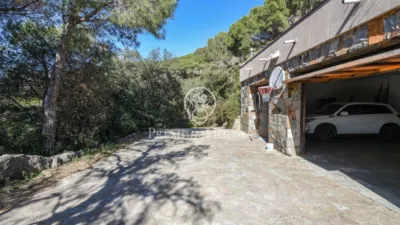 House in Zona Alta photo 35
