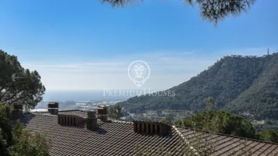 House in Zona Alta photo 4