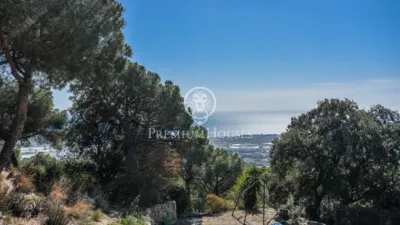 House in Zona Alta photo 5
