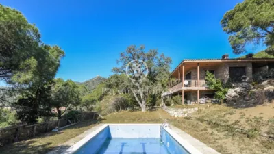 House in Zona Alta photo 6