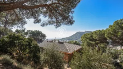 House in Zona Alta photo 8