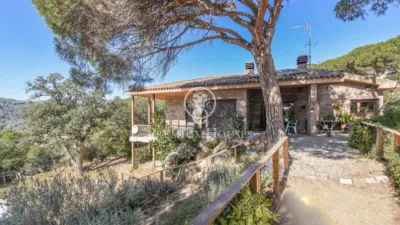 House in Zona Alta photo 9