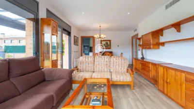 House in Playa Area photo 8
