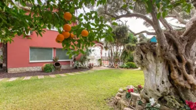 House in Can Teixido photo 54