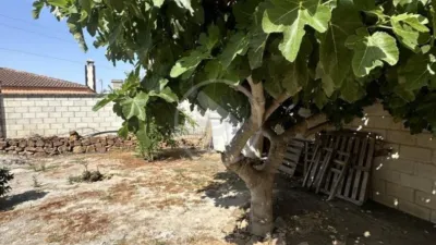 Rustic finca on Calle Ds Diseminado Rozuela photo 16