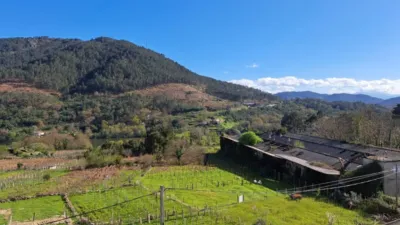 Dúplex en venta en Ribadavia, Ribadavia de 130.000 €