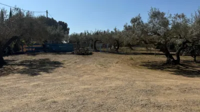 Rustic Finca in Catalonia photo 12