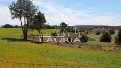 Finca rústica en venta en Carretera Pantano, Pedanías (Teruel Capital) de 1.350.000 €