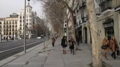 Piso en alquiler en Madrid - Imagen 10