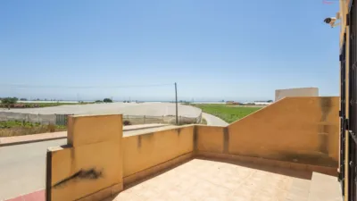 Apartment in Diseminado la Punta photo 5