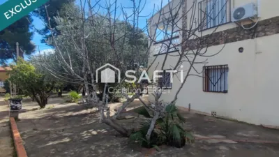 Rustic Finca in Montserrat photo 37
