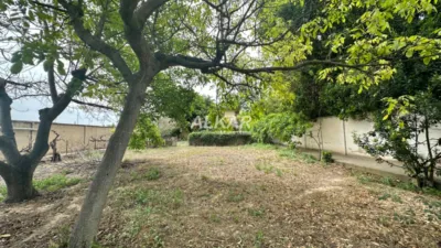 Rustic farm in Plaza de Europa photo 24