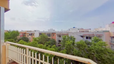 Apartment in Pere Garau photo 36