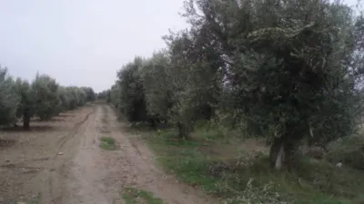 Rustic farm in Cart Tarazona A La Izda photo 3