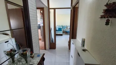 Apartment in Illa Digna photo 17