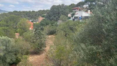Rustic finca on Carrer de Suïssa photo 12