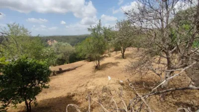 Rustic finca on Carrer de Suïssa photo 16