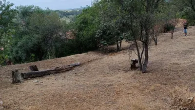 Rustic finca on Carrer de Suïssa photo 18