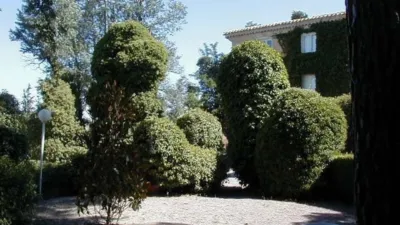 Rustic finca on Calle La Tercia de Singla photo 2