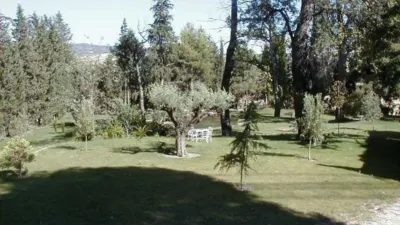 Rustic finca on Calle La Tercia de Singla photo 30