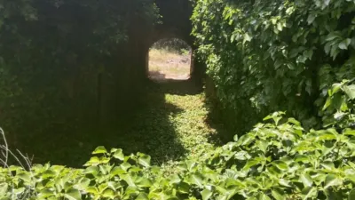 Rustic finca on Calle La Tercia de Singla photo 32