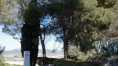 Rustic finca on Calle La Tercia de Singla photo 33