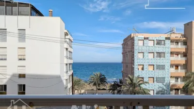 Pis – Elx - Elche - Vista 2