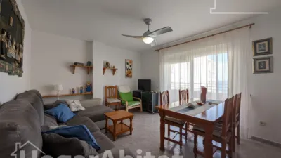 Pis – Elx - Elche - Vista 3