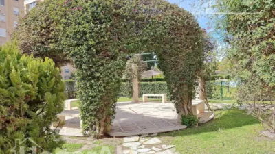 Pis – Alicante - Alacant - Vista 4