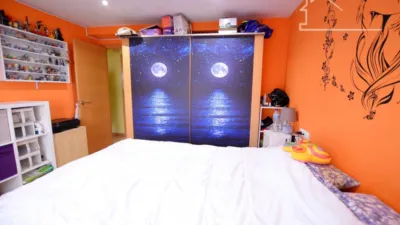 Flat on Calle del Pintor Gisbert photo 37