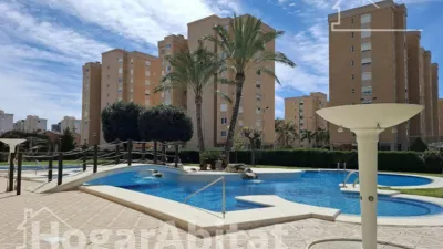 Pis – Alicante - Alacant - Vista 2