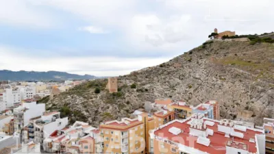 Penthouse on Agustín Olivert Street photo 23
