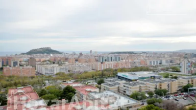 Flat on Calle del Pintor Pedro Camacho photo 12