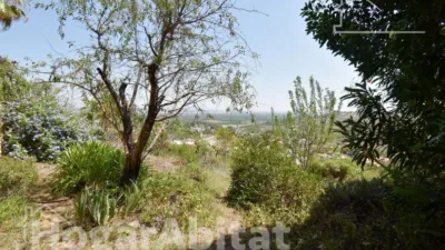 Chalet in Carrer dels Serrans photo 41