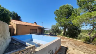 Rustic Finca in Las Norias photo 13